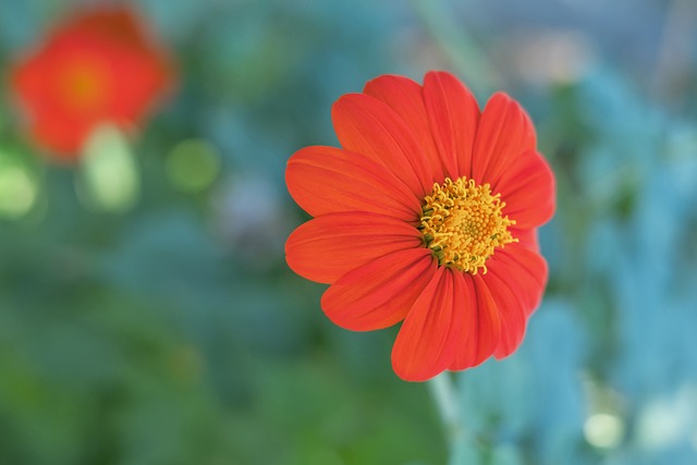 外加年轻小 外加年轻小