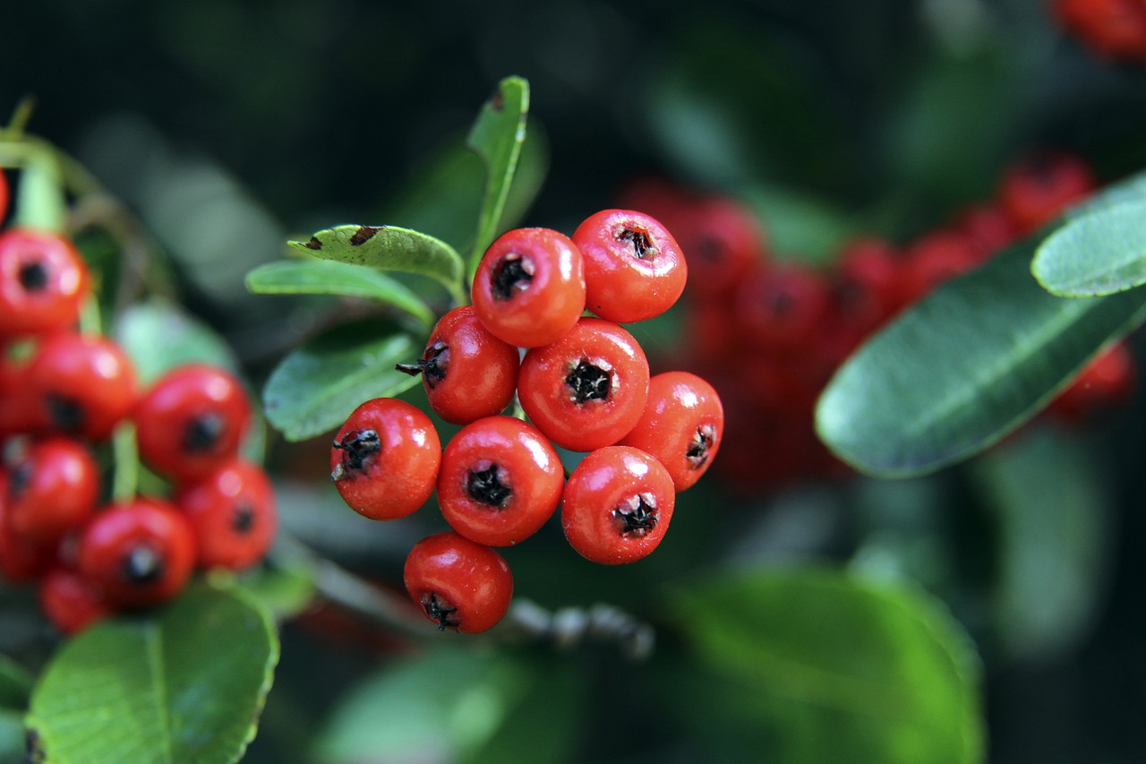 迷的目光 迷的目光