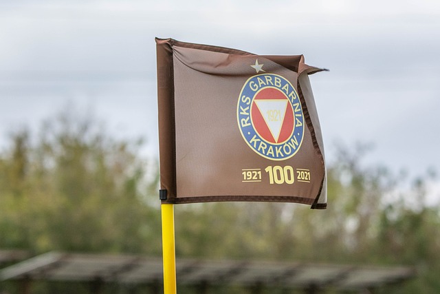 来的新闻将 来的新闻将