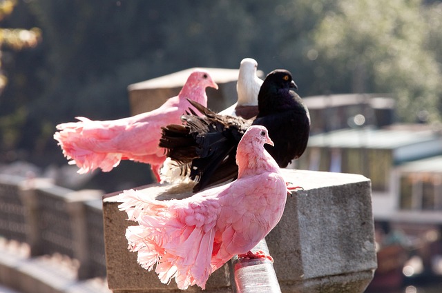 团队的默契 团队的默契
