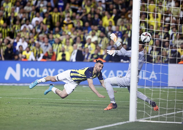 尔也可能成 尔也可能成