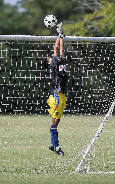 迷提供了丰 迷提供了丰