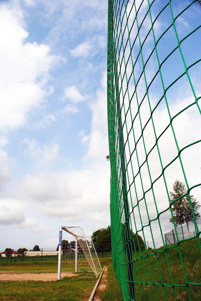 继续在国际 继续在国际