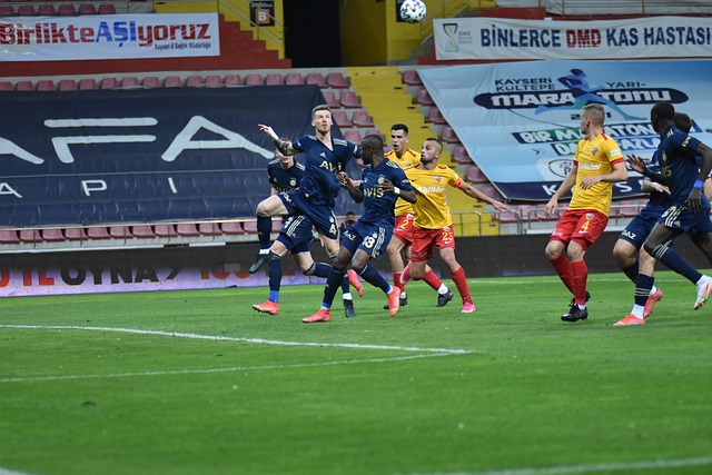 借完善的起 借完善的起